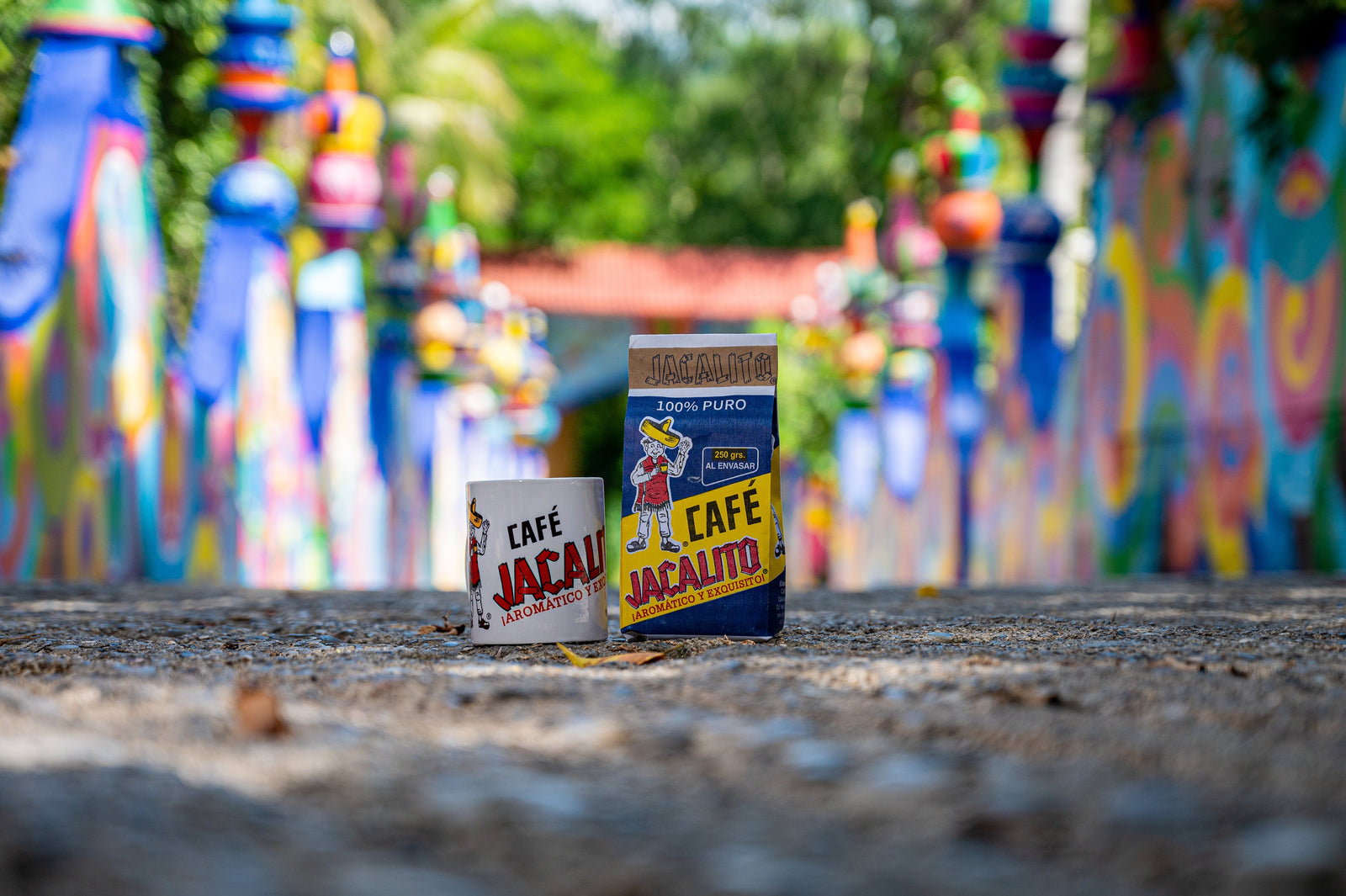 Las regiones cafetaleras de México y qué diferencia su sabor